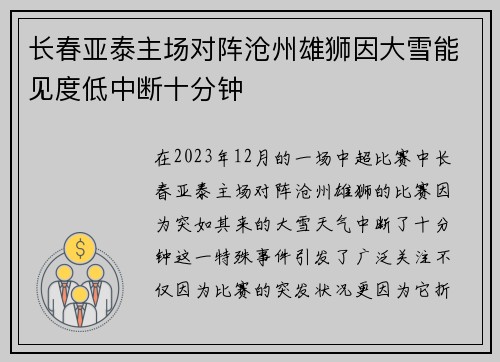 长春亚泰主场对阵沧州雄狮因大雪能见度低中断十分钟